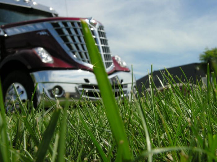 International lonestar in the grass 