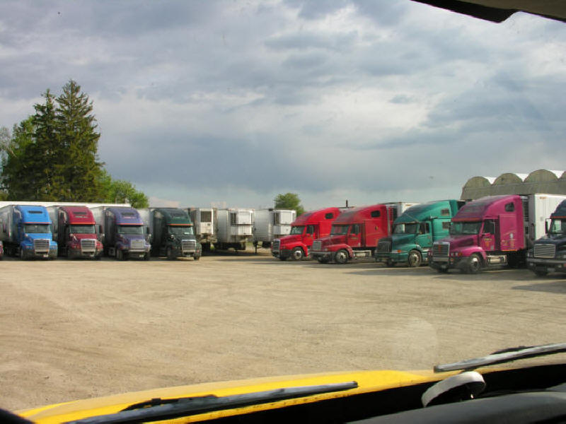 Variety of Freightliners getting loaded at the docks They're loading live flowers into "refer units" for Interstate delivery